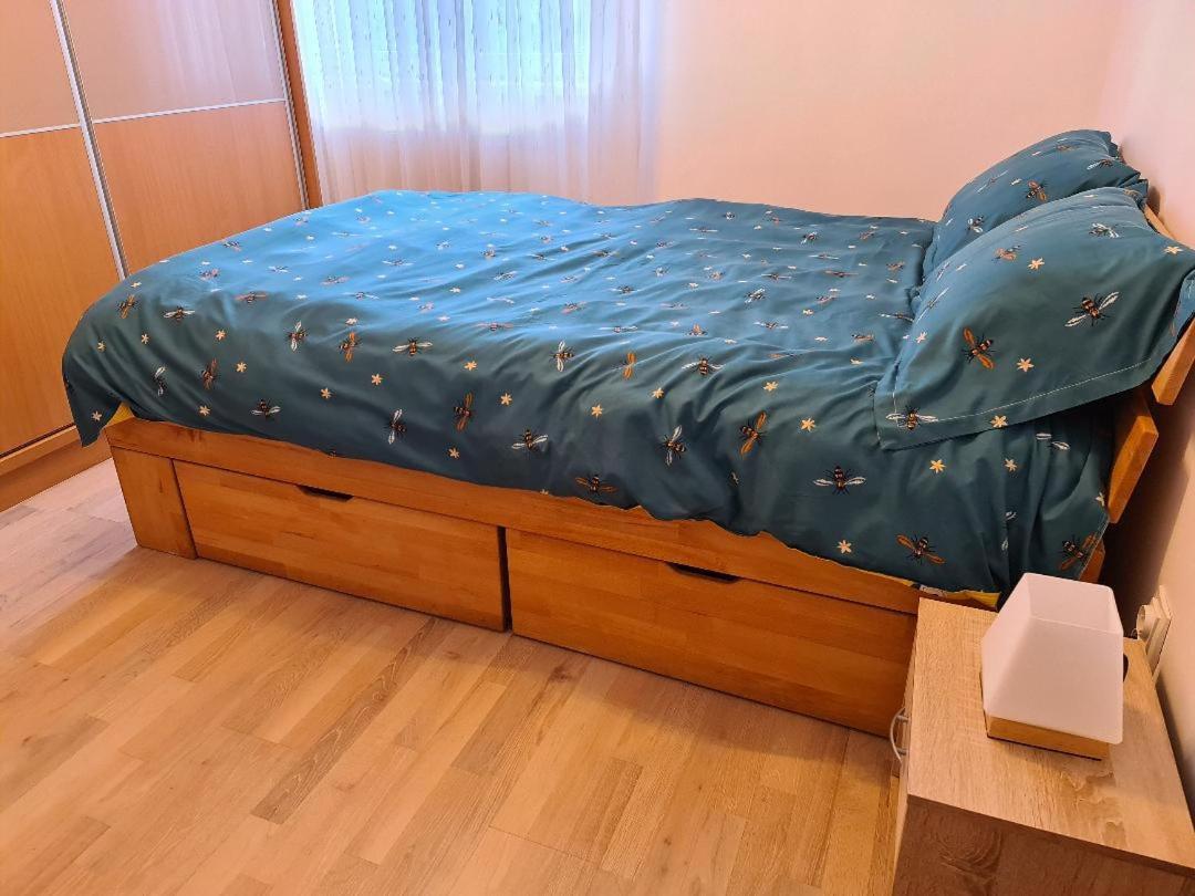 Central Cosy Apart Oradea Appartement Buitenkant foto
