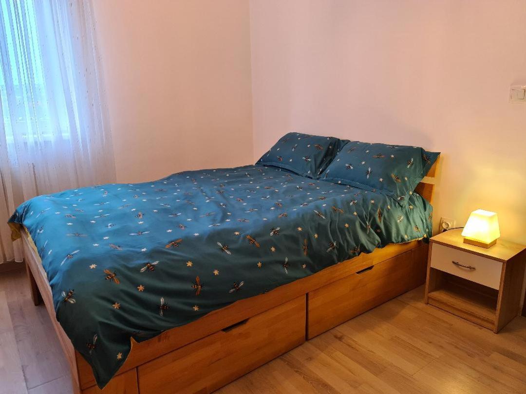 Central Cosy Apart Oradea Appartement Buitenkant foto