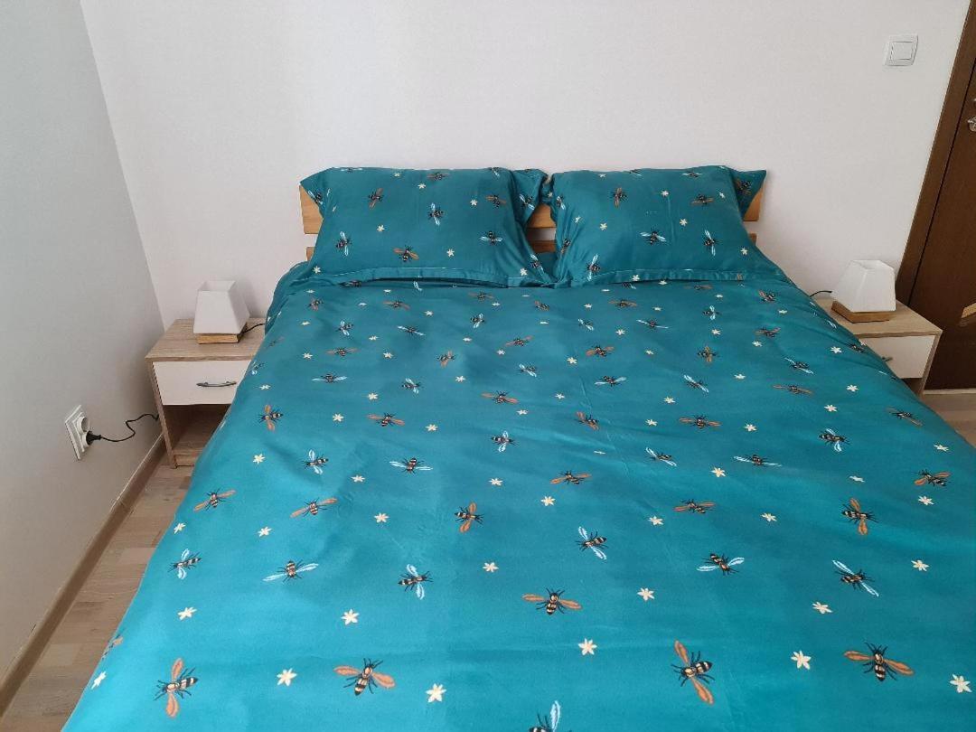 Central Cosy Apart Oradea Appartement Buitenkant foto