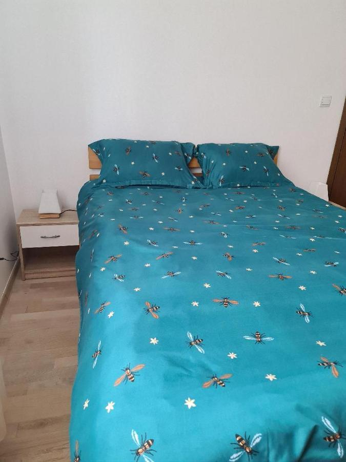 Central Cosy Apart Oradea Appartement Buitenkant foto